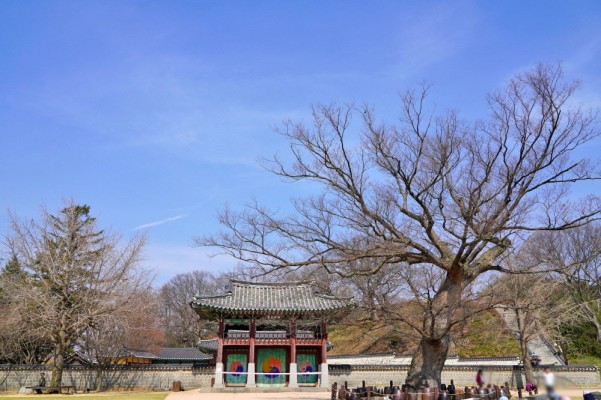 서산 가볼만한곳, 조선시대 역사 서산 해미읍성 | 블로그