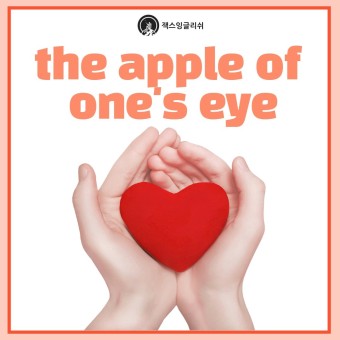 [轺ױ۸] the apple of one's eye /  ־    