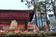 서울도심에 부처님오신날을 앞 둔 조계사 풍경
