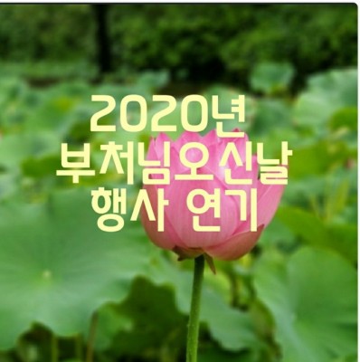 2020년 부처님오신날 행사 연기 서울 템플스테이 기억 떠오르다 | 블로그