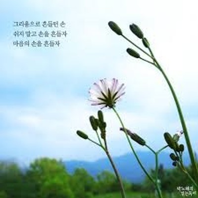 아이유의 '에잇(Eight)'(feat. SUGA of BTS)[좋은 노래] 뮤비, 가사, 가사매칭사진들과 IU 소개 정보 | 블로그