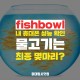 fishbowl 피시볼 테스트 - 물고기로 내 휴대폰 성능 확인?