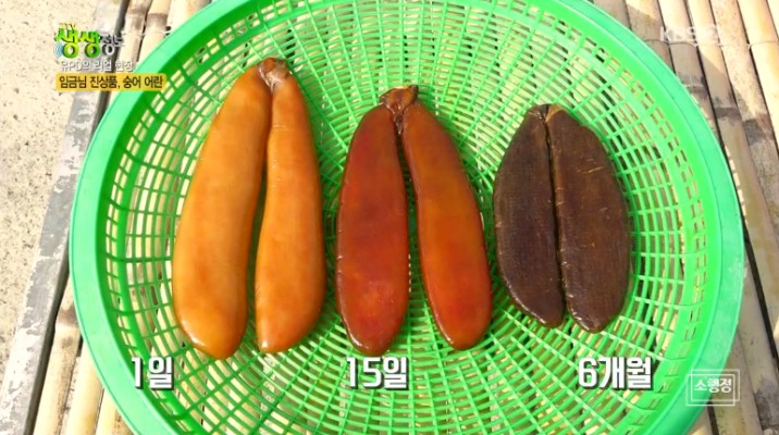 생생정보 해남 울돌목 뜰채 숭어잡이 현장,영암어란 | 블로그