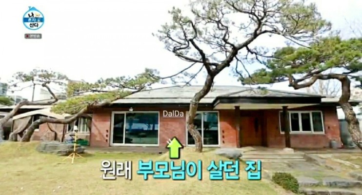 박세리 집, 부자 언니 박세리가 사는 집 위치는 대전이었음.. 박세리 나이와 결혼/이혼설까지 | 블로그