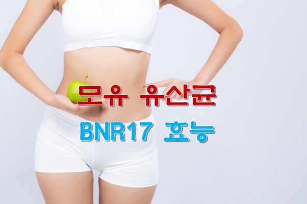 모유 유산균 BNR17 효능 알아보기 | 블로그