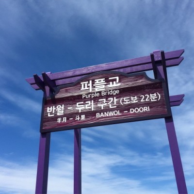 전남 신안 보랏빛 퍼플섬 반월도 산책 고고씽! | 블로그