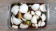알토란 양파장아찌만들기 원승식 햇양파장아찌 담그는법