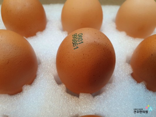 서민갑부 달걀 갑부 계란 청주 등고개농장 | 블로그