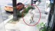 서울역 묻지마 폭행 용의자 잡혔다? 자택서 검거