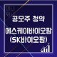 6월 공모주 - 에스케이바이오팜 (SK바이오팜)공모주 청약 일정