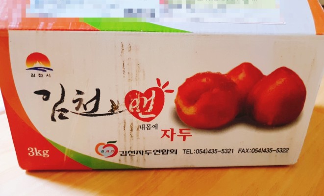 김천 대석자두 꽝이 없는 맛있는 자두는 역시 김천자두 | 블로그