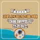 [우리소식] 코로나19 