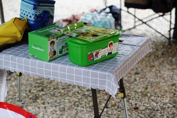 데비마이어 그린백 그린박스 신선한 야채 보관으로 맛있는 캠핑요리 도전 | 블로그