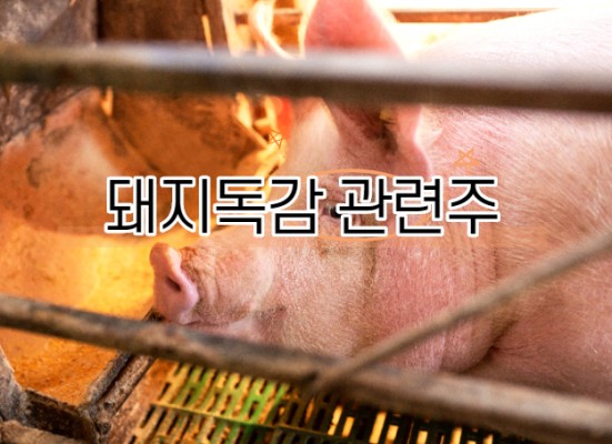 돼지독감 관련주 g4 바이러스 백신 돼지열병 수혜주 | 블로그