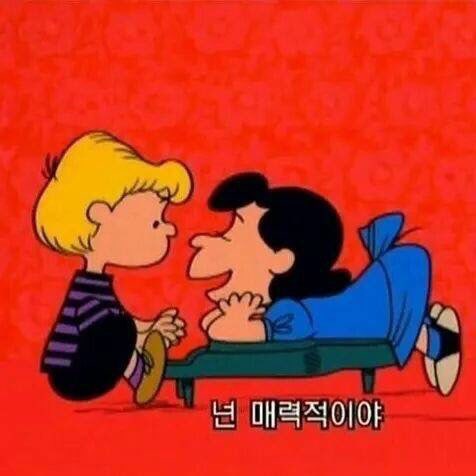 인간 리트리버의 ENFJ의 첫인상과 현인상의 차이 전격 분석!! ><