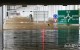 11일째 폭우에 이재민