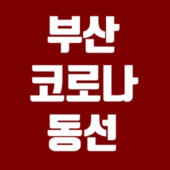 오늘 부산 코로나 확진자 동선 및 현황 (8/26기준 수정)