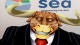 SEA LIMITED(NYES : S