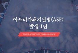 아프리카돼지열병(ASF) 1년 - ‘묻지마 살처분’ 정책, 이제는...