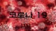 Äڷγª19 ½Å±ÔÈ®Áø 12