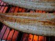 가리봉동 맛집 인생 장어를 만나다! 선운산 민물장어 구로점