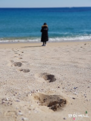 [강원도 여행] 속초 등대해변 속초 겨울바다 푸른빛에 매료되다 | 블로그