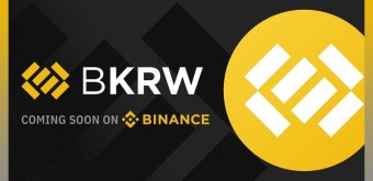 원화 기반 스테이블 코인 원화 기반 스테이블 코인