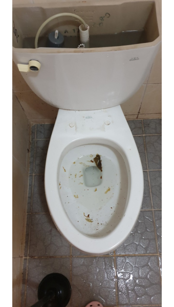 부천시 원미구 원미동 변기막힘 24시 출장