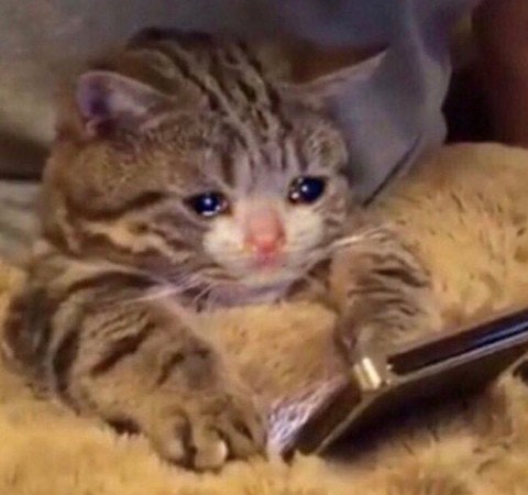 간호학과 편입 인서울~수도권