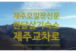 서귀포시 숙소 제주오일장신문 vs 제주교차로 지역신문정보찾기