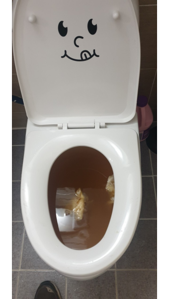 광주남구효덕동변기막힘뚫음막힌곳뚫는업체 남구화장동씽크대막힘역류할때뚫는업체남구행암동화장실냄새날때물이안내려갈때막힘뚫음