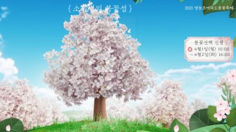 2021년 벚꽃축제 사전 신청, 추첨제, 여의도 벚꽃길, 봄꽃축제