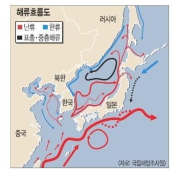 후쿠시마 원전 해양방류 결정