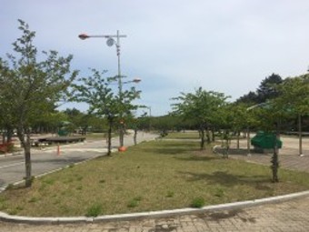 송지호 오토캠핑장