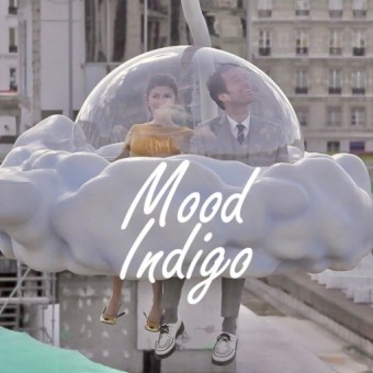 Mood Indigo(2013)