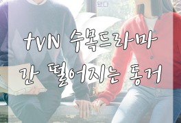 [수목드라마] tvN 간 떨어지는 동거 7회 줄거리 및 리뷰 : 아주...