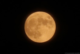 달 사진 찍기 스트로베리 문 뜨는 밤.