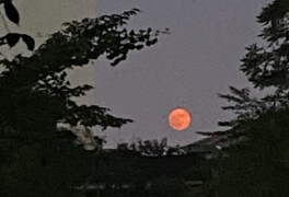 아이폰으로 찍은 스트로베리문 6월에 뜨는 보름달