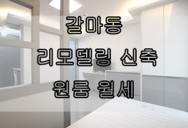 대전 서구 갈마동 갈마1동동사무소 휴리움아파트 대전일보...