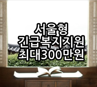 서울형 긴급복지 지원 최대 300만원 받는 기준