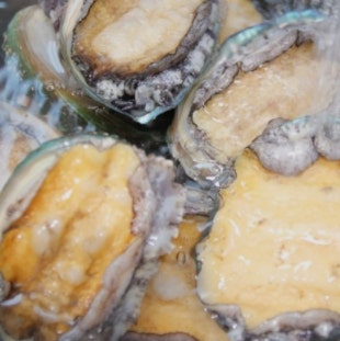 アワビのタウリンで肝臓健康サポート 新鮮なアワビと肝臓の健康をイメージした和食の食材