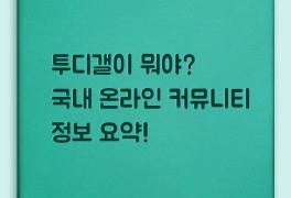 투디갤이 뭐야 ft, 국내 온라인 커뮤니티 정보