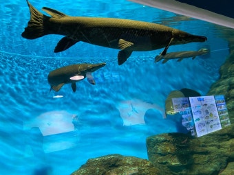 강릉 가볼만한곳