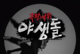 극한데뷔 야생돌 참가자 프로필 지금까지 본 적 없는 서바이벌...