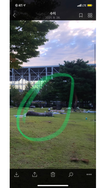 [2021.09.26] 2021 전마협 갑천 훈련 마라톤 엑스포 다리 밑 (대전 엑스포 남문 광장 갑천변 잔디)