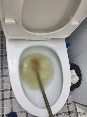 일산서구 주엽동 변기막힘 24시간 출장 업체