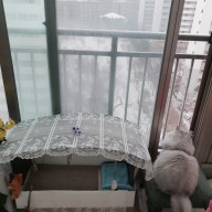 눈오는날...고양이와 미역떡국