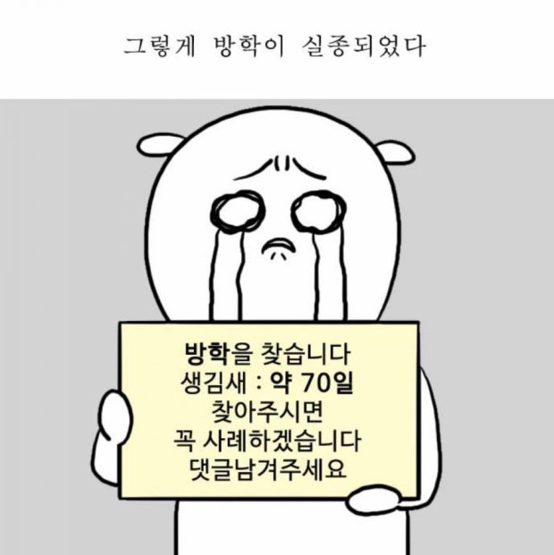 본문이미지