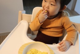 [아기간식]5분 뚝딱 분유빵 만들기(ft.퓨어락 2단계)