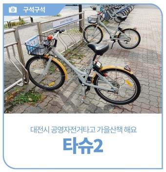 대전 유성구 가볼만한곳, 대전시 공영자전거 타슈2 타고 가을산책 해요!